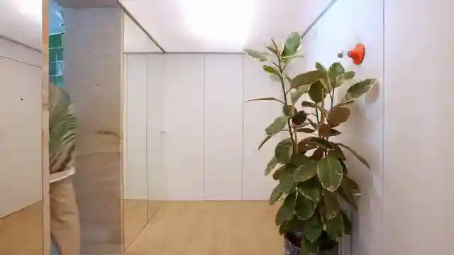 innovative-living-unplanned-domestic-prototype-in-san-sebastian