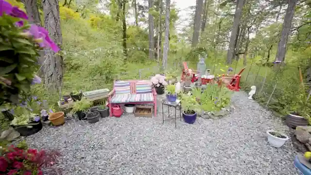 exploring-daisy-innovative-tiny-home-living-with-reclaimed-materials