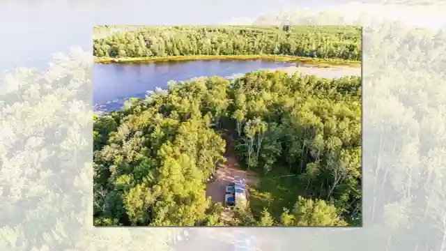luxurious-forest-tiny-home-sustainable-living-at-its-finest