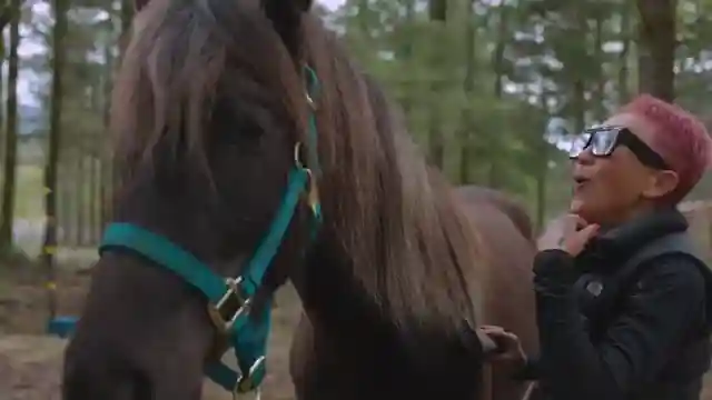 tiny-home-living-a-horse-lovers-dream-in-ravensdale