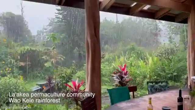 sustainable-living-in-a-rainforest-off-grid-community-tour
