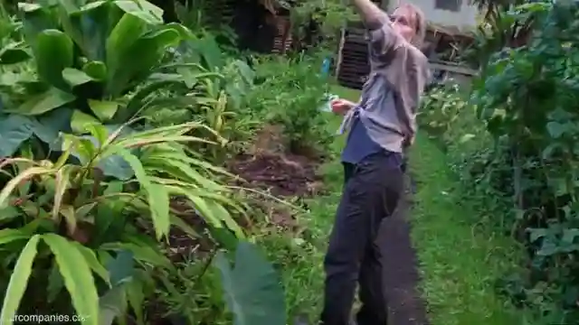 sustainable-living-in-a-rainforest-off-grid-community-tour