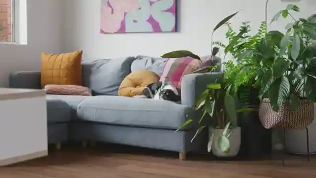 sydney-apartment-renovation-maximizing-space-with-thoughtful-design