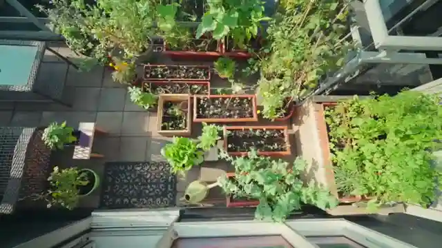expert-tips-for-small-space-gardening-maximizing-harvest-in-limited-areas
