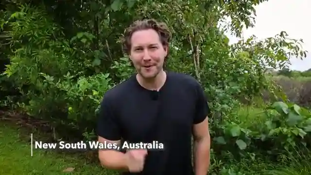 travel-writers-tiny-house-journey-sustainable-living-in-northern-nsw