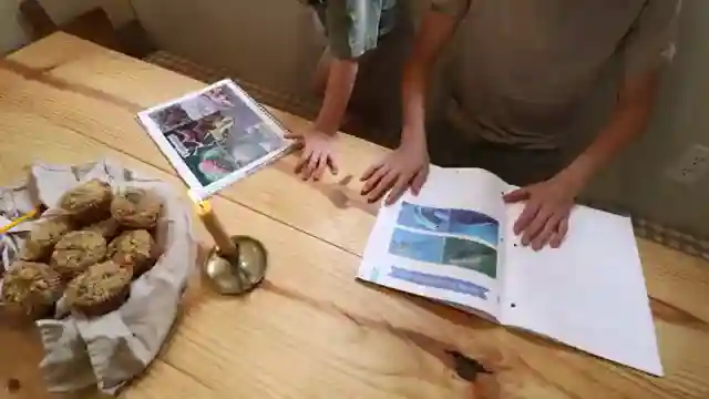 shed-to-home-a-familys-diy-transformation-story